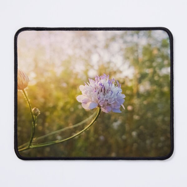 Item preview, Knautia arvensis designed and sold by psychoshadow.
