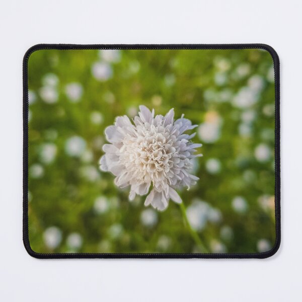 Item preview, Field scabious designed and sold by psychoshadow.