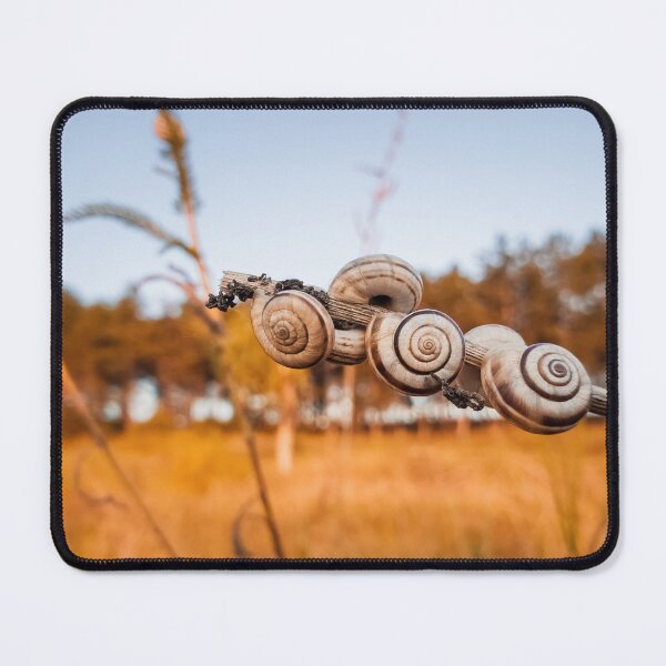 Item preview, snail shells designed and sold by psychoshadow.