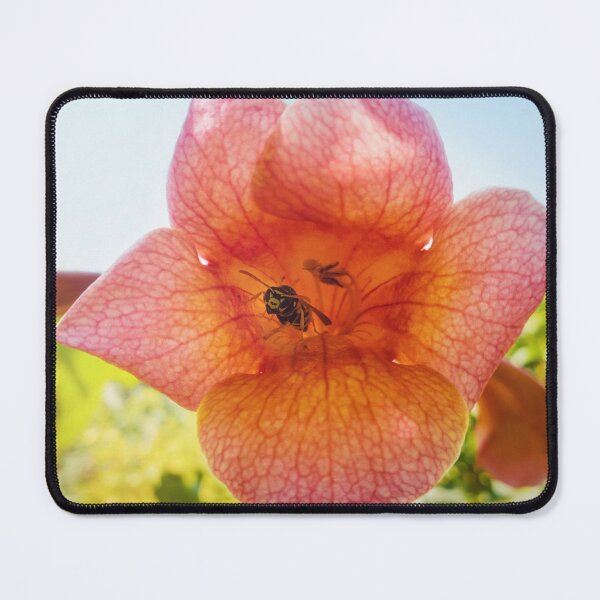 Item preview, Tecoma wasp designed and sold by psychoshadow.