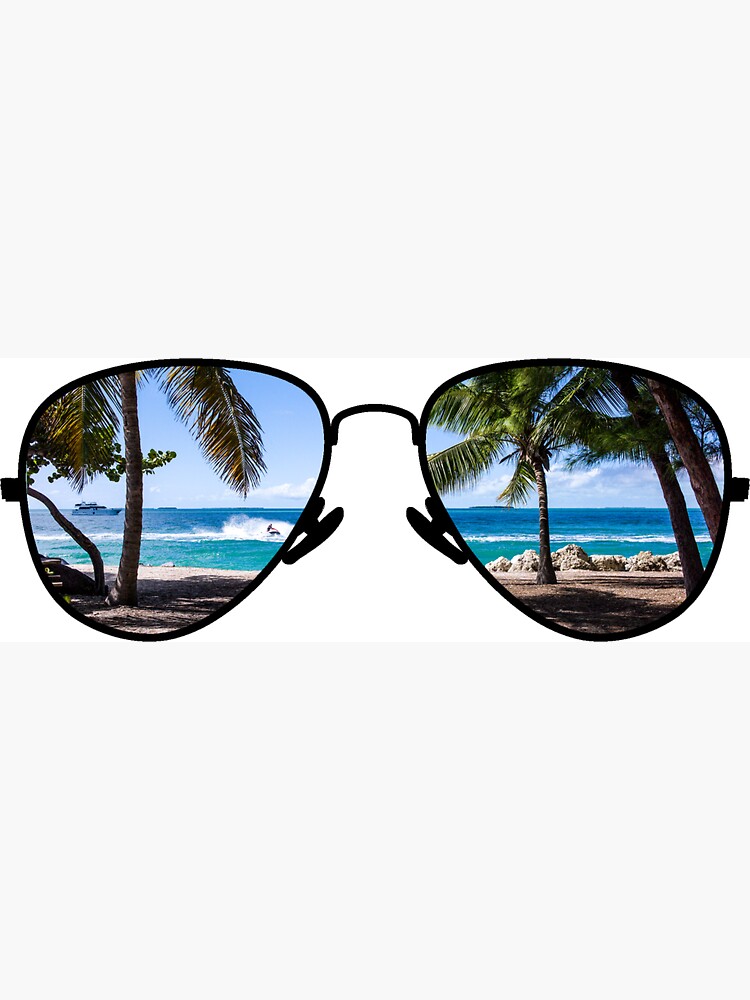 Shade discount trees sunglasses