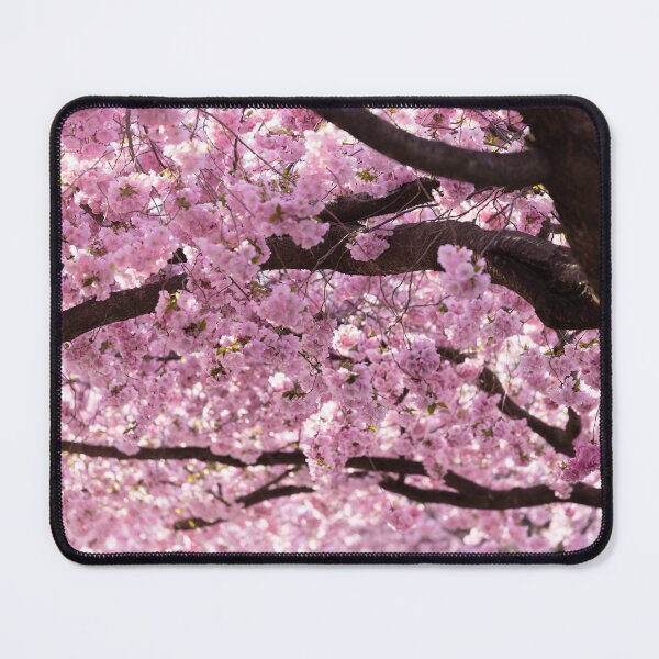 Item preview, Cherry Blossom Trees designed and sold by Nicklas81.