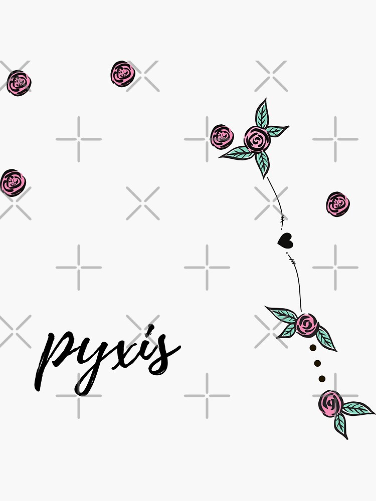 "Pyxis (Mariner's Compass) Constellation Roses and Hearts Doodle