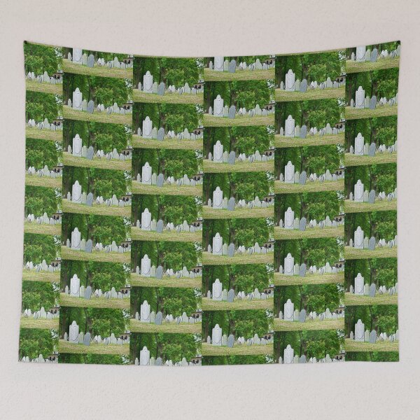 Item preview, Boston Common Study 2  designed and sold by Robert Meyers-Lussier.