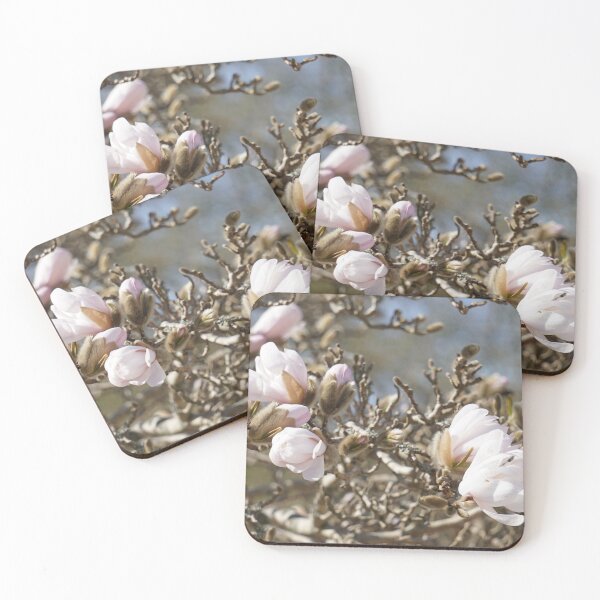Item preview, Magnolia flowers blossoming on a tree branch - floral designed and sold by Designbyfia.