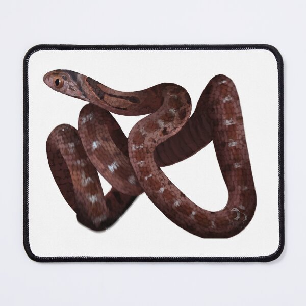 Item preview, Medici designed and sold by ArtisticGansi.