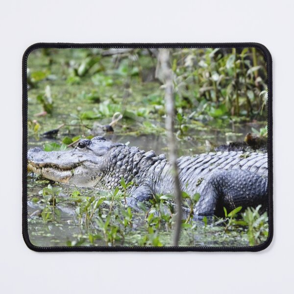Item preview, Alligators  designed and sold by Darlene Boudreaux.