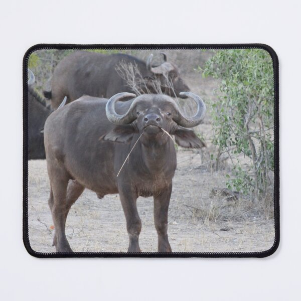 Item preview, African Buffalo designed and sold by BushOptics.