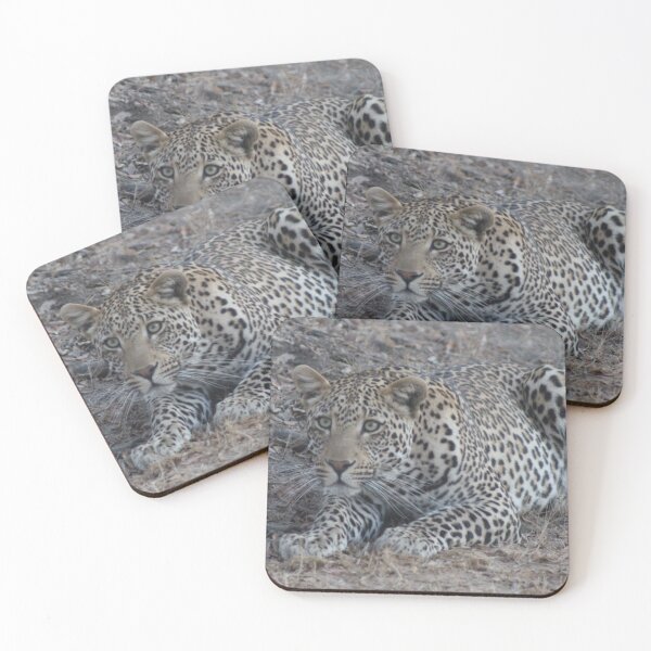 Item preview, Hunting Leopard designed and sold by BushOptics.
