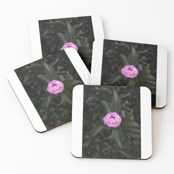Item preview, Camellia flower designed and sold by MoodyMonday.