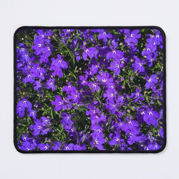 Item preview, Lobelia pattern / flowers / pattern / floral pattern designed and sold by MrFaulbaum.