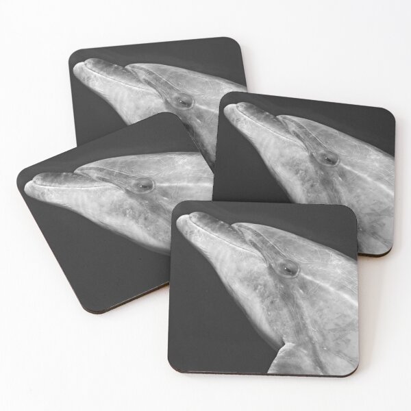 Item preview, Wild Bottlenose dolphin black and white portrait  designed and sold by Chloé Yzoard.