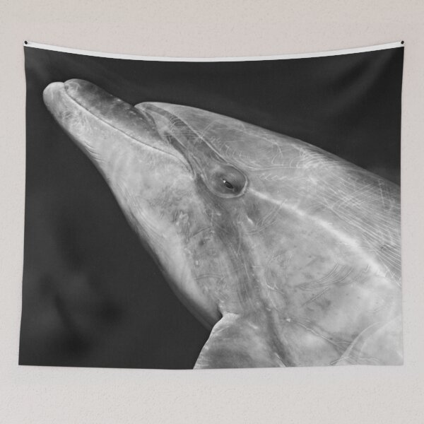 Item preview, Wild Bottlenose dolphin black and white portrait  designed and sold by Chloé Yzoard.
