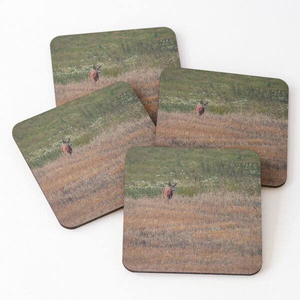Item preview, Roe deer on evening walk designed and sold by Jouko Lehto Photography.