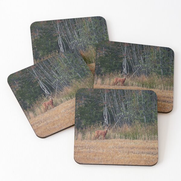 Item preview, By the line of the forest. Roe deer designed and sold by Jouko Lehto Photography.