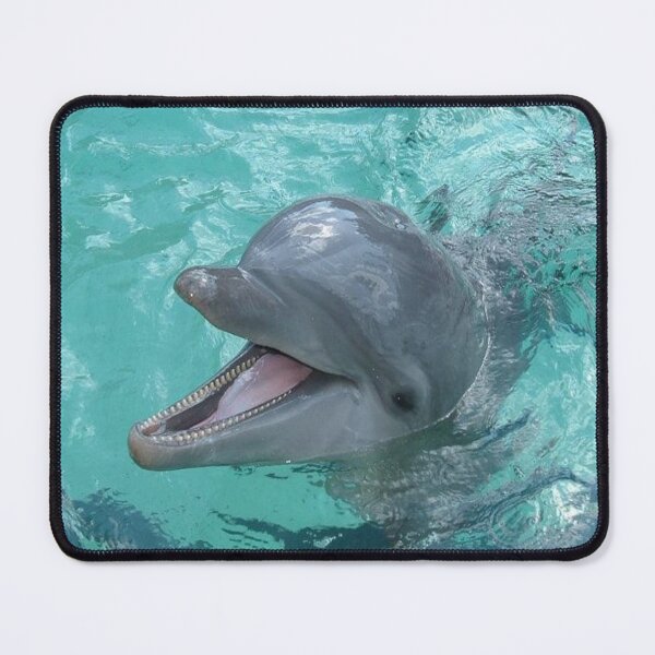 Item preview, Beautiful Dolphin designed and sold by Missy69.