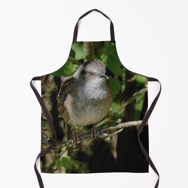 Item preview, r1059 / New Finition 2021 -- Oiseau " Accenteur " 2015 (c)(t) Olavia-Olao Okaio Créations designed and sold by o.okaïo.