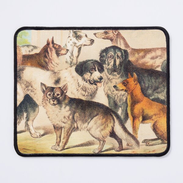 Item preview, Dog breeds vintage art designed and sold by Vintage Designs +.