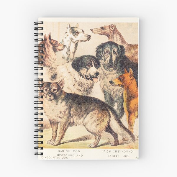 Item preview, Dog breeds vintage art designed and sold by Vintage Designs +.