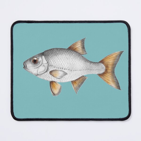 Item preview, Common roach fish designed and sold by Bwiselizzy.