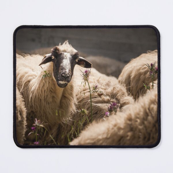 Item preview, Smiley Black Sheep designed and sold by Vienewi.