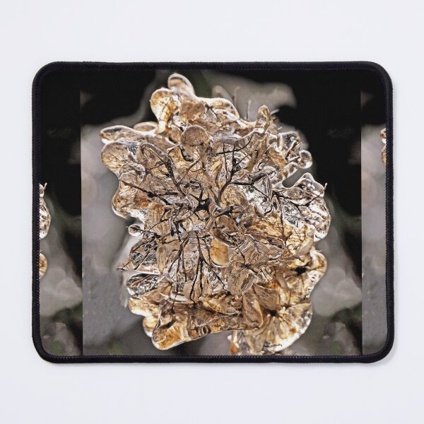 Item preview, r2773/ 19 "  La France Vitrifiée " Comme un Bijoux Royal "  Février 2021 -  (t) Olavia-Olao Okaio Créations 2021 designed and sold by o.okaïo.