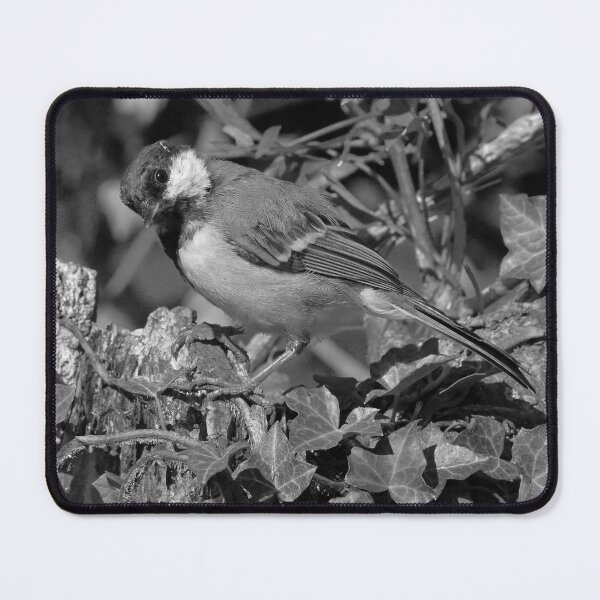 Item preview, r1355/ new finition 2021 Birds 05 n-b (c)(t) by Olao-Olavia / Okaio Créations designed and sold by o.okaïo.