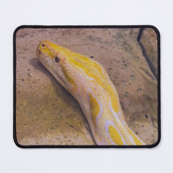 Item preview, Python - snake designed and sold by iCimages.net.