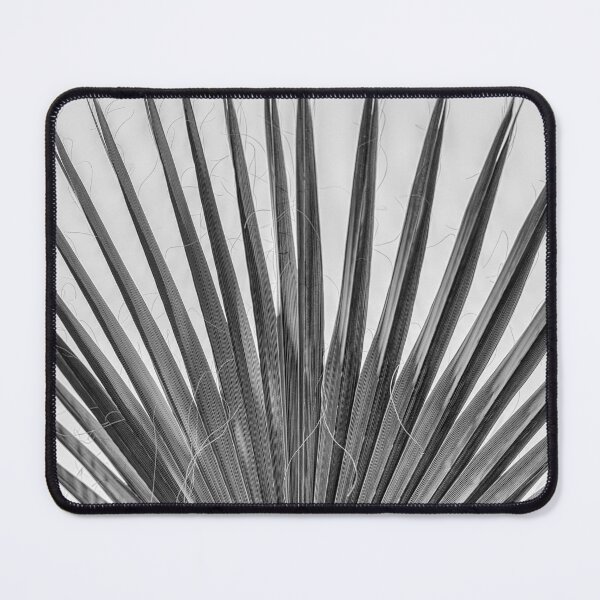 Aperçu de l'œuvre Feuille de palmier créée et vendue par iCimages.net.