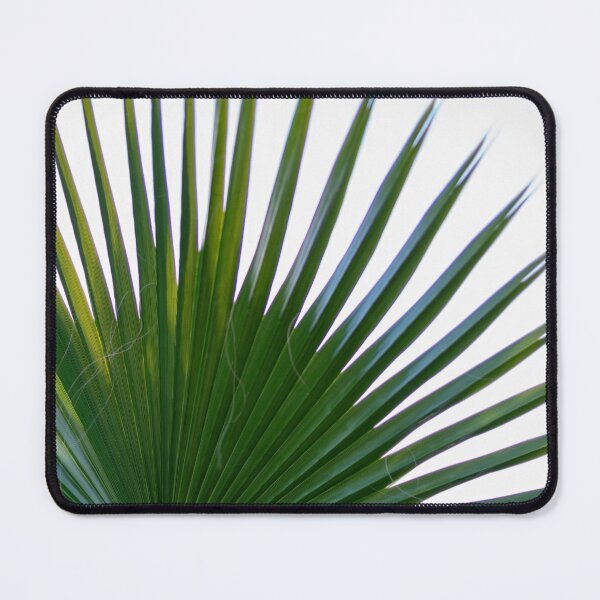 Item preview, Palm Leaf designed and sold by iCimages.net.