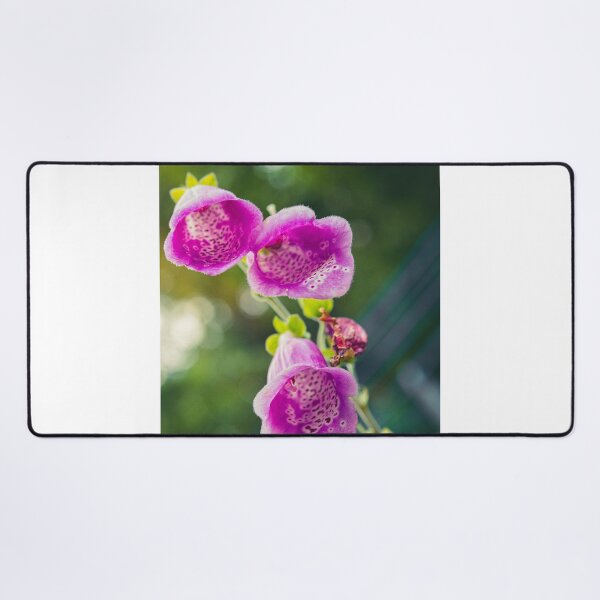 Item preview, Three purple foxglove flowers designed and sold by craig777red.