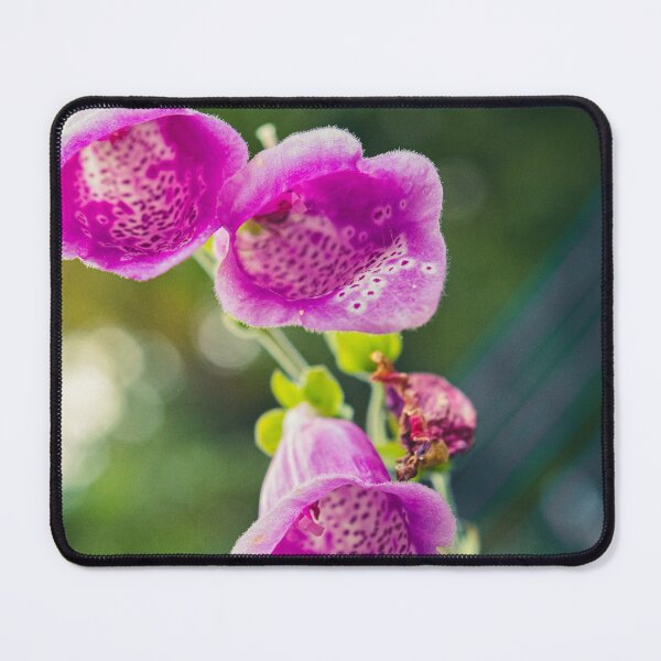 Item preview, Three purple foxglove flowers designed and sold by craig777red.
