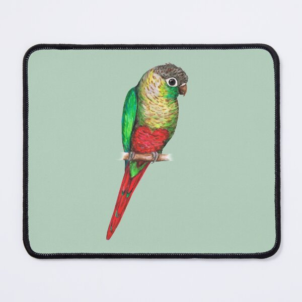 Item preview, Conure with a heart on its belly designed and sold by Bwiselizzy.