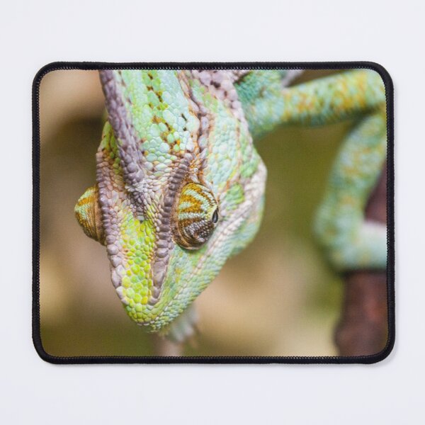 Item preview, Crawling green chameleon designed and sold by craig777red.
