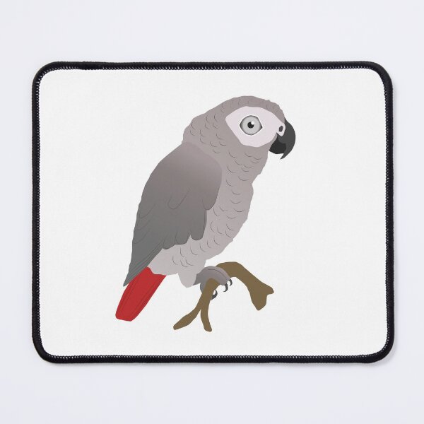 Item preview,  Cute African grey parrot vector designed and sold by Bwiselizzy.