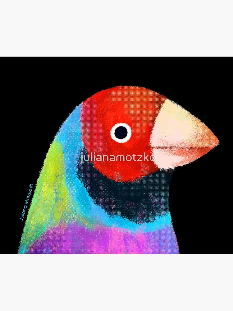 Gouldian Finch Bird by julianamotzko