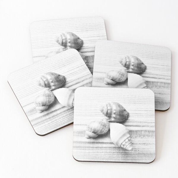 Item preview, Seashells White and Grey Three designed and sold by Beachy.