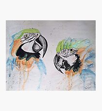 Keeper of the Stars Parrot Rescue Photographic Print