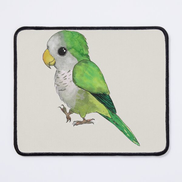 Item preview, Very cute green quaker parrot designed and sold by Bwiselizzy.