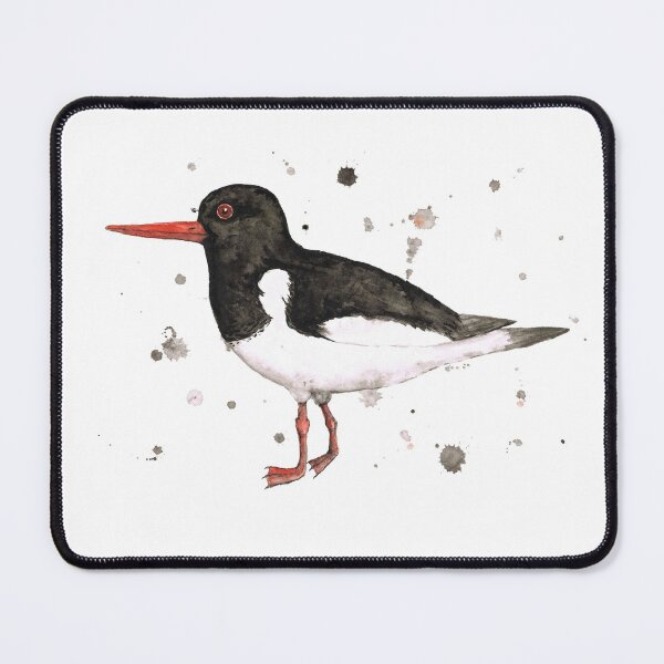 Item preview, An oyster catcher designed and sold by Bwiselizzy.