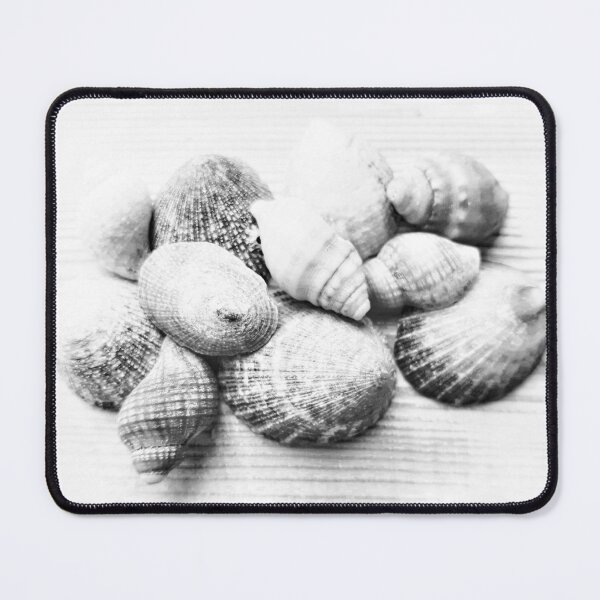 Item preview, Seashells Collection Group White and Grey designed and sold by Beachy.