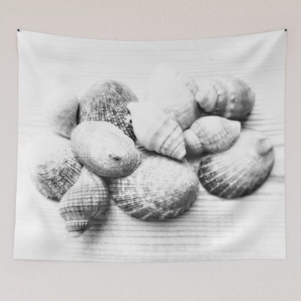 Item preview, Seashells Collection Group White and Grey designed and sold by Beachy.