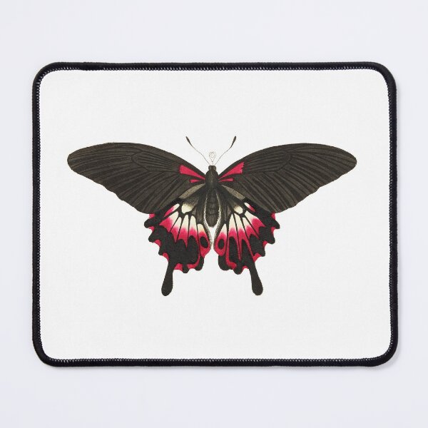 Item preview, Vintage George Shaw Butterfly designed and sold by Andrew Suciu.