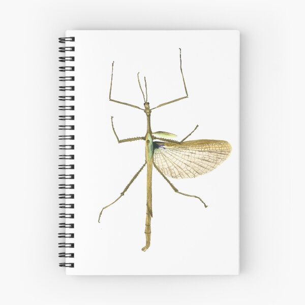 Item preview, Strong Stick Insect Illustration designed and sold by LinhLyArt.