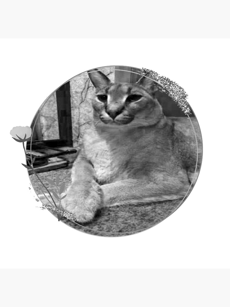 Big Floppa Cat Meme Art Board Print for Sale by momshow