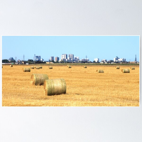 Hay! Look, it's Winnipeg! Poster