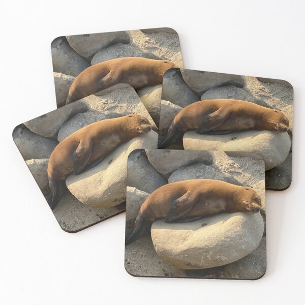 Item preview, Baby Sea Lion Napping On Rock designed and sold by Sarah Tepe.