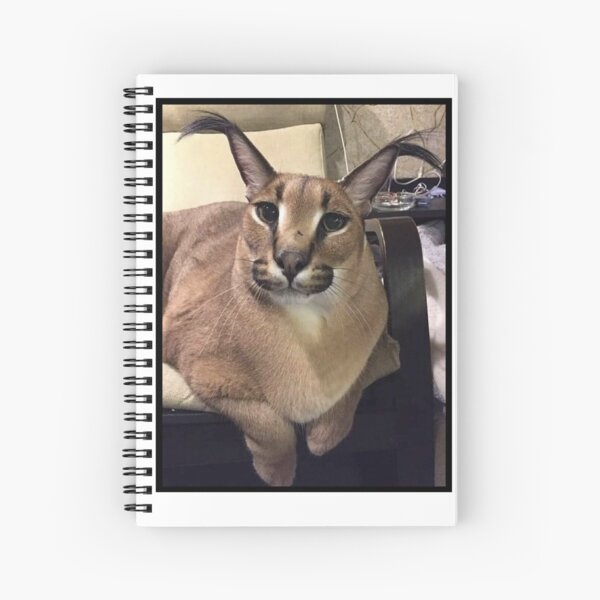 Big Floppa Meme Cute Caracal Cat: Plain Lined Journal Notebook, 120 Pages,  Medium 6 x 9 Inches, Printed Cover