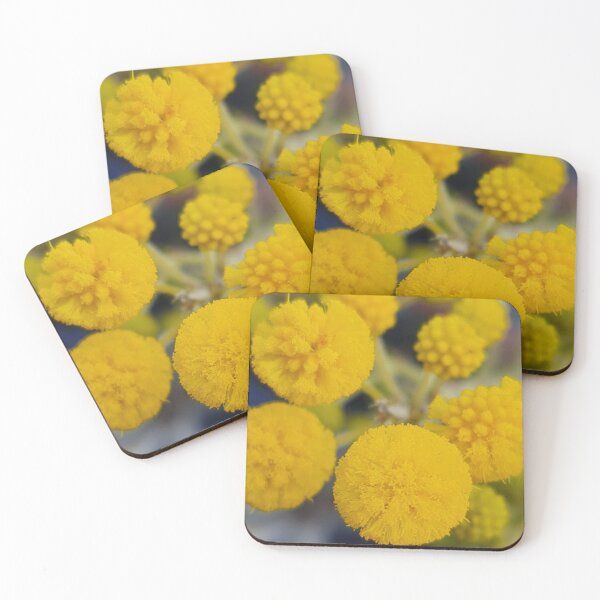 Item preview, Acacia pulchella designed and sold by LCNNativePlants.