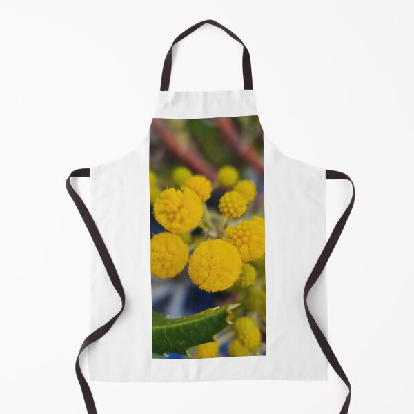 Item preview, Acacia pulchella designed and sold by LCNNativePlants.